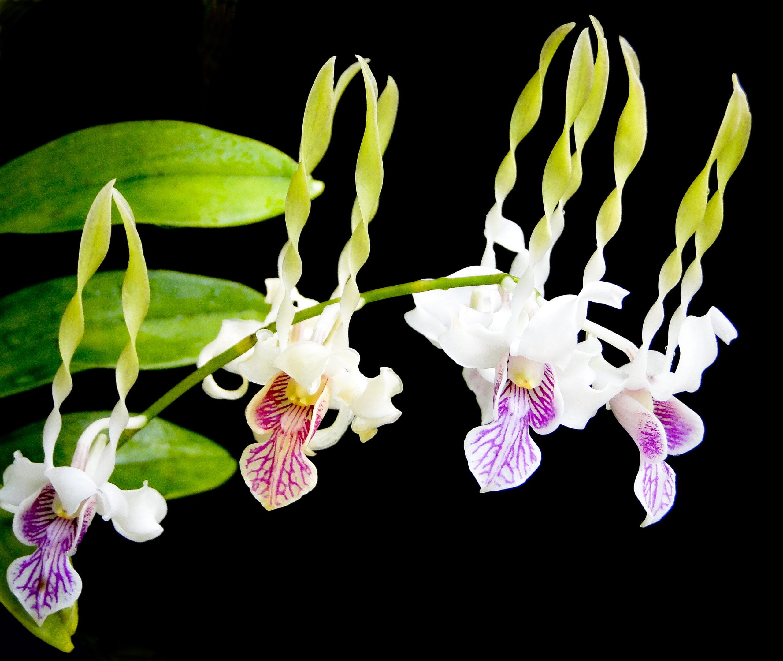 DSC03866-1_edited-1
