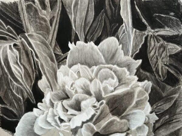 #W512D The Wonderful World of Charcoal, 5 Weeks Thursdays, May 1 - 29, 1:00 -  3:30PM