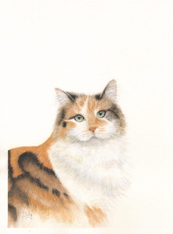 #W706A Calico Cat in Watercolor Pencils, 2 Day Mini -Session, Wednesday & Friday, January 29 & 31, 9:30 - 3:30PM