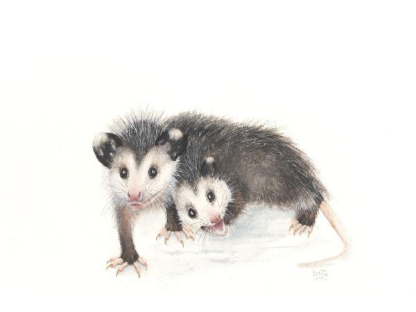 #W711A Tender Tails in Watercolor Pencils, 2 Day Mini-Session, Tuesday & Wednesday, May 6 & 7, 9:30 - 3:30PM