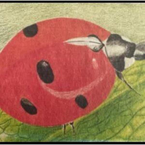 #S25-506A, Colored Pencil Close-Ups, 5 Weeks, Thursdays, June 5 - July 3, 1:00 - 3:30PM
