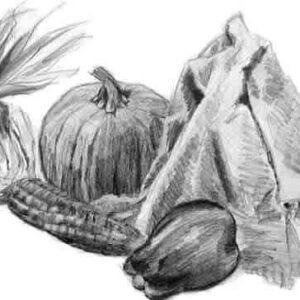 #S25-501B, Introduction to Basic Drawing, 5 Weeks, Mondays, July 14 - August 11, 9:30 - 12:00PM