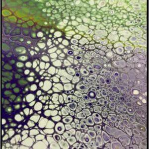 #S25-103B, Paint Pouring 1/2 Day Mini-Session: Tuesday,  July 22, 1:00 - 3:30PM