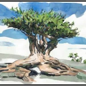 #F25-709B Landscape Elements: Watercolor Sketches  Instructor: Gary Maria, 5 Weeks, November 18-December 16, 1:00—3:30 PM