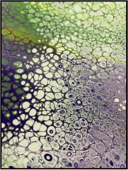 #F25-112F, Paint Pouring Mini Session: Friday, December 19, 1:00 - 3:30PM