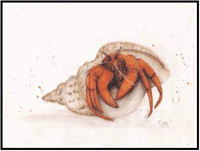 W26-707A Hermit the Crab, 1-day mini-session Friday April 10,  9:30 - 3:30 PM