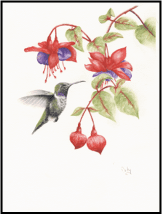 W26-705A Flickering Wings, 1-day mini-session Tuesday March 3,  9:30 - 3:30 PM