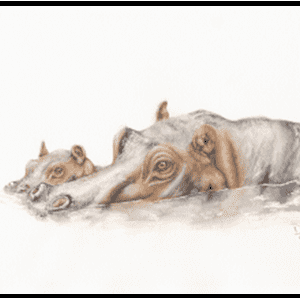 W26-704A Hippos, 1-day mini-session Tuesday February 17,  9:30 - 3:30 PM