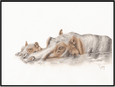 W26-704A Hippos, 1-day mini-session Tuesday February 17,  9:30 - 3:30 PM