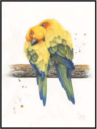 W26-703A Lovebirds, 1-day mini-session Wednesday January 28,  9:30 - 3:30 PM