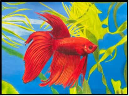 #W26-508C, Colored Pencil Close Ups For Beginners & Beyond, 4 Weeks, Thursday, May 7 - June 4, 1:00 - 3:30PM