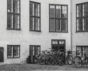 #W26-202B, Advanced Lightroom Techniques, 2 Weeks, Mondays, February 2 & 9, 9:30 -12:00PM