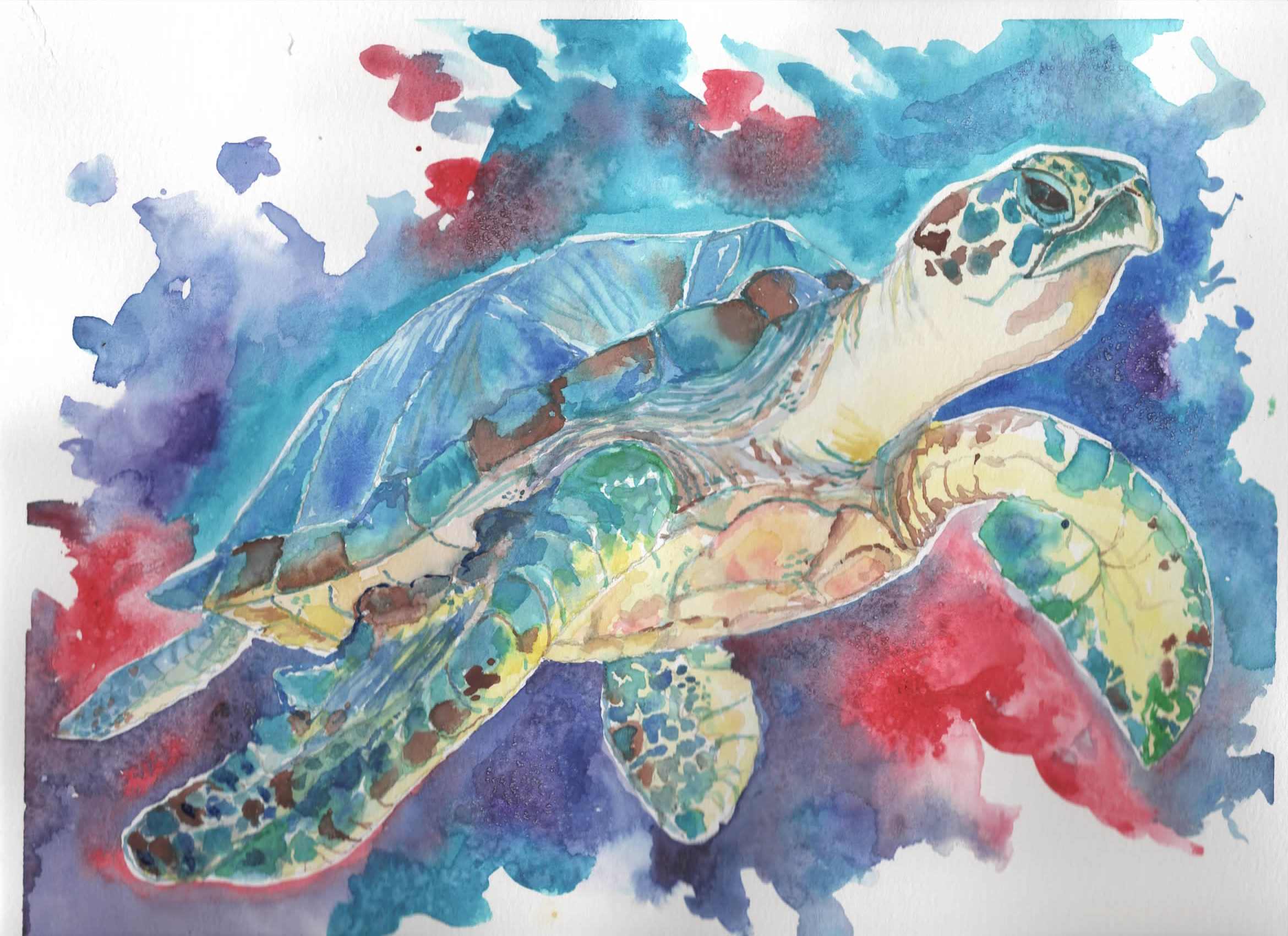 #W26-131B Sea Turtle Watercolor, 1/2 day Mini Session, Thursday, April 23, 9:30 -12:00PM