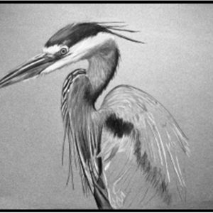 #SWP26-1017A, Learn To Draw with Laura, 2 Week Session, Tuesday, May 12 & 19, 1:00 - 3:30PM