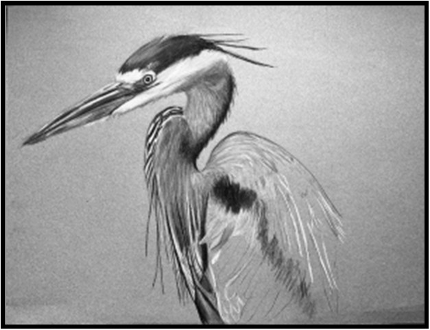 #SWP26-1017B, Learn To Draw with Laura, 2 Week Session, Tuesday, May 26 & June 2, 1:00 - 3:30PM