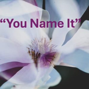 You Name It -  NON - Member Triptych
