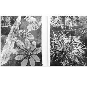 #S26-118A, Gelli Plate Printing , 1/2 Day Mini-Session, June18, 1:00 - 3:30PM