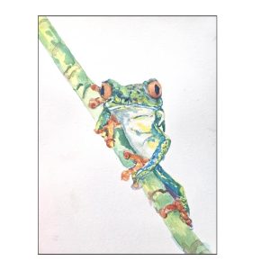 #S26-113A, Tree Frog Watercolor, 1/2 Day Mini Session, July 27, 1:00 - 3:30PM