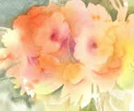 W26-710C Splashy Vibrant Watercolor 1-Day Mini-Session, Tuesday May 12, 10:00 - 3:00PM