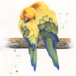 #F26-801A, Lovebirds, 1 Day Mini-Session, Monday, September 28, 9:30 AM- 3:30 PM