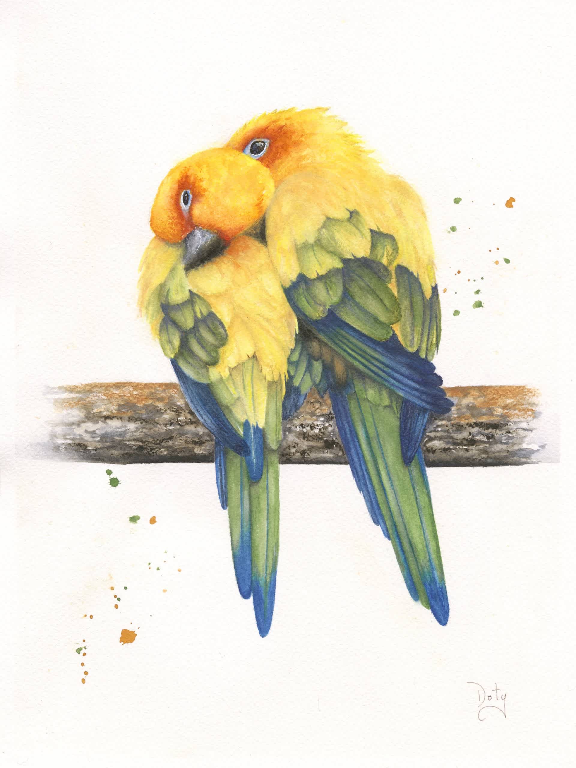 #F26-801A, Lovebirds, 1 Day Mini-Session, Monday, September 28, 9:30 AM- 3:30 PM