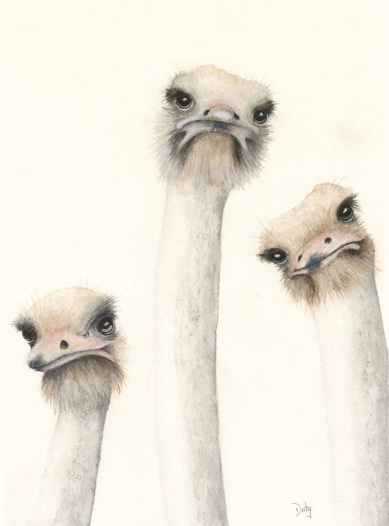 #F26-804A, Ostriches with Attitude, 1 Day Mini-Session, Monday, December 7, 9:30 AM- 3:30 PM