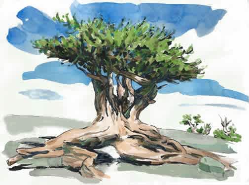 #F26-809A, Landscape Elements: Watercolor Studies, 1 Day Mini-Session, Tuesday, November 10, 9:30 AM- 3:30 PM