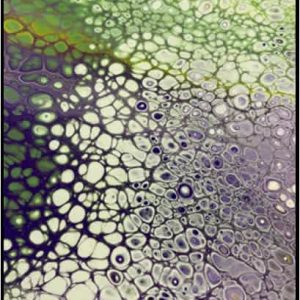 #F26-118C, Paint Pouring, 1/2 Day Mini-Session, Friday, December 4, 1:00 - 3:30PM