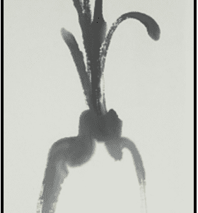 #1006A, NON-MEMBER, Sumi-E Painting Workshop, 2 Day, March 15 & 16,2027,  9:30 - 12:00PM