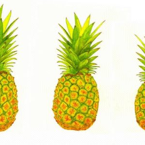 3 Pineapples