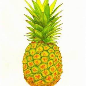 Big Pineapple