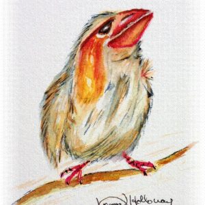 Pecker Bird